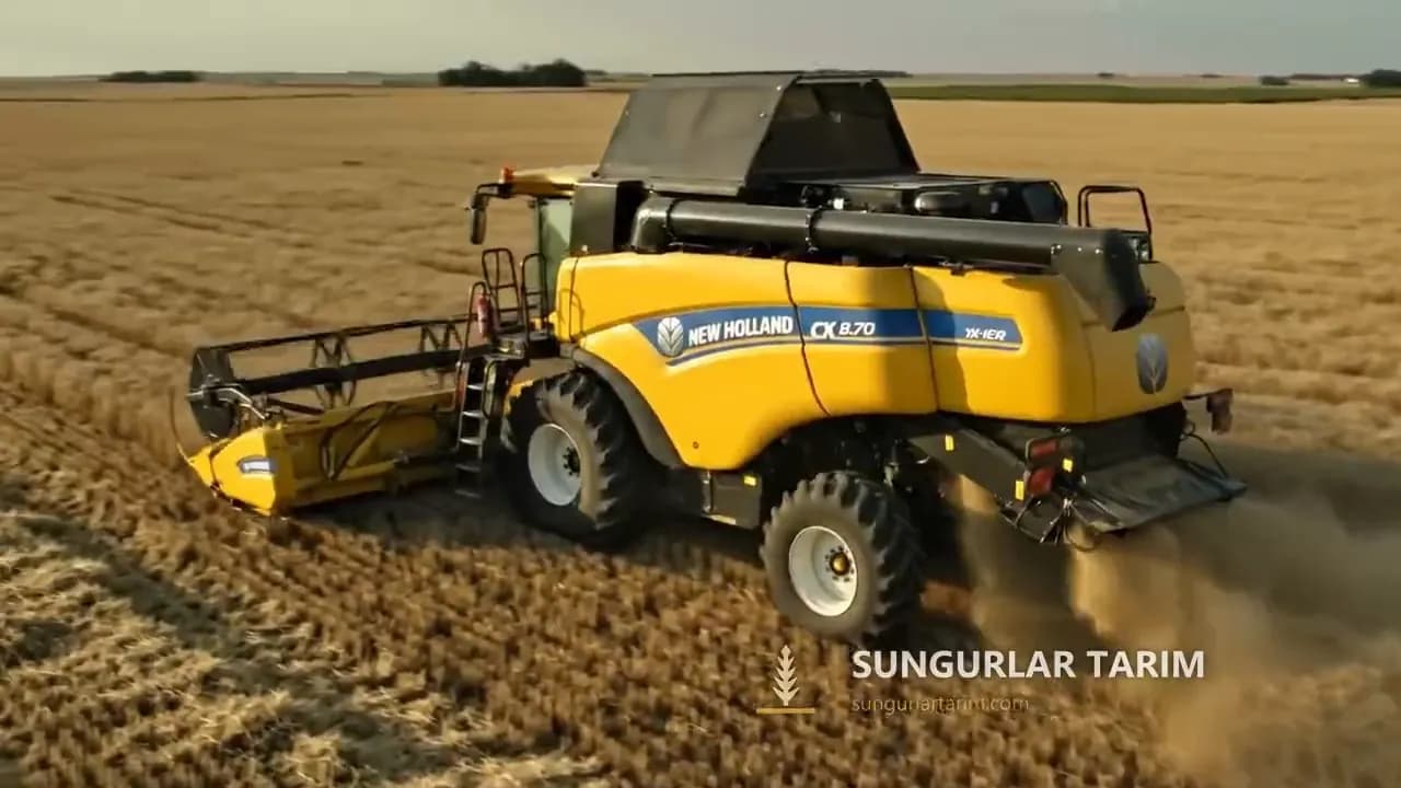 Gün batımında altın rengi buğday tarlasında hasat yapan New Holland biçerdöver